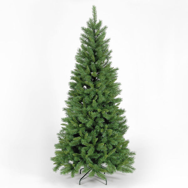 Green New Duchess Spruce Christmas Tree - DeWaldens Garden Centre