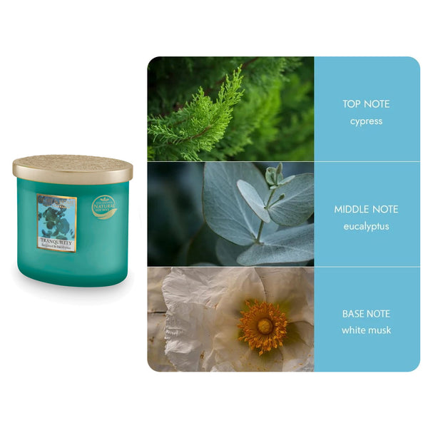 Heart & Home 2 Wick Ellipse Jar Candle 220g - DeWaldens Garden Centre