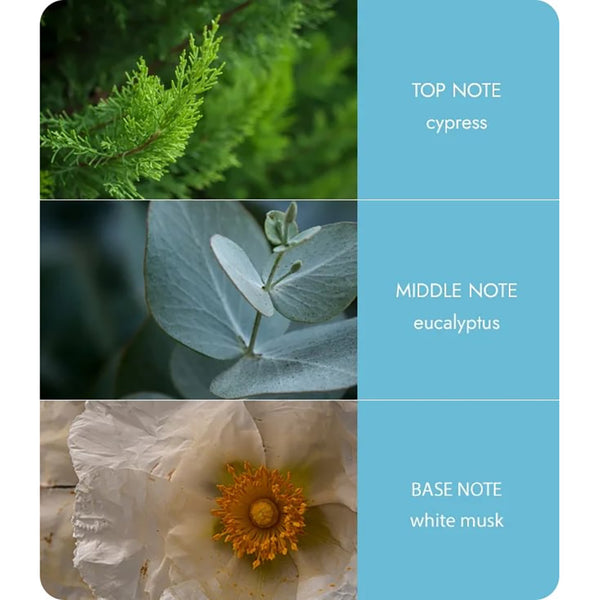 Heart & Home Candle & Socks Gift Set - Tranquility - DeWaldens Garden Centre