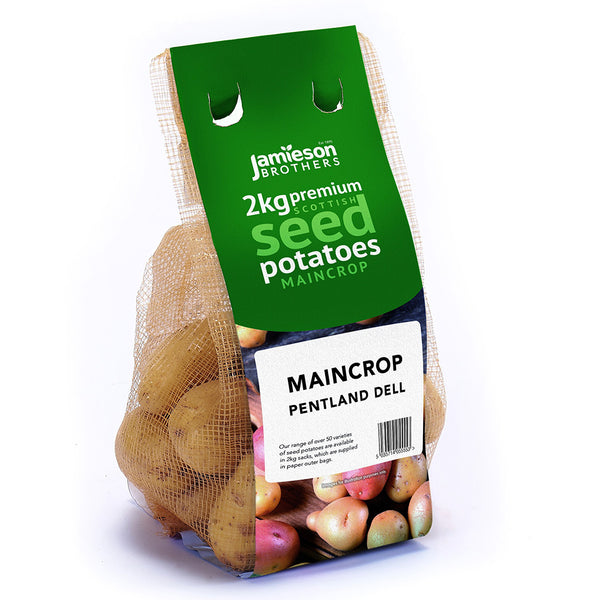 Jamieson Brothers Pentland Dell Seed Potatoes 2kg - DeWaldens Garden Centre