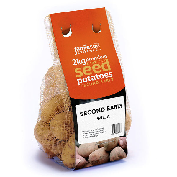 Jamieson Brothers Wilja Seed Potatoes 2kg - DeWaldens Garden Centre
