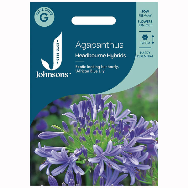 Johnsons Agapanthus Headbourne Hybrids - DeWaldens Garden Centre