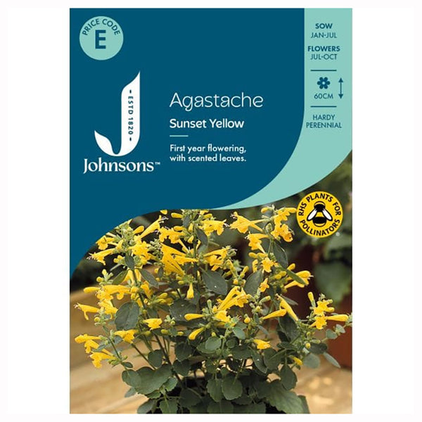 Johnsons Agastache Sunset Yellow Seeds - DeWaldens Garden Centre