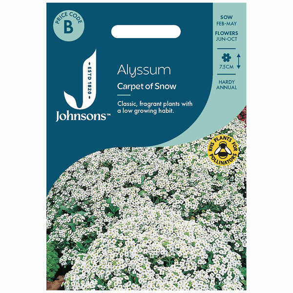 Johnsons Alyssum Carpet Of Snow Seeds - DeWaldens Garden Centre