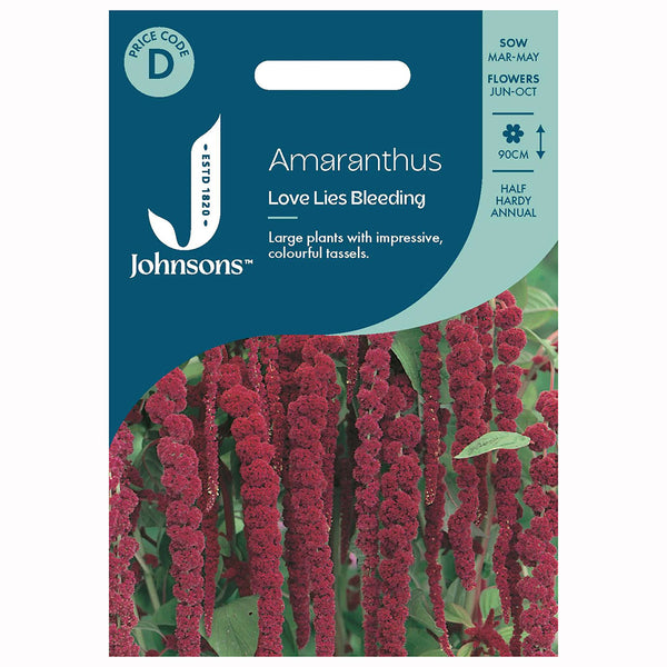Johnsons Amaranthus - Love Lies Bleeding Seeds - DeWaldens Garden Centre