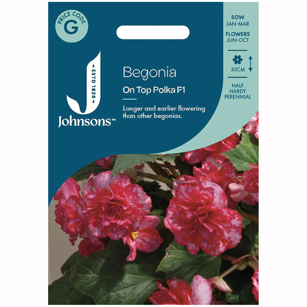 Johnsons Begonia On Top Polka Dot F1 Seeds - DeWaldens Garden Centre