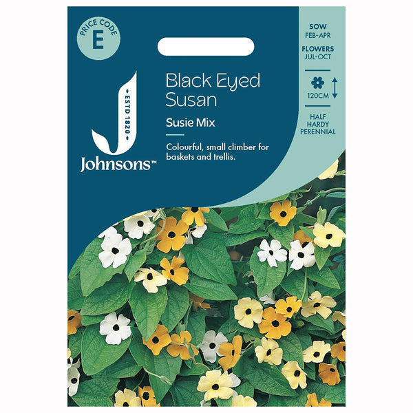Johnsons Black Eyed Susan Susie Mix Seeds - DeWaldens Garden Centre