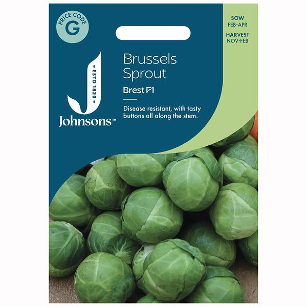 Johnsons Brussels Sprout Brest F1 Seeds - DeWaldens Garden Centre
