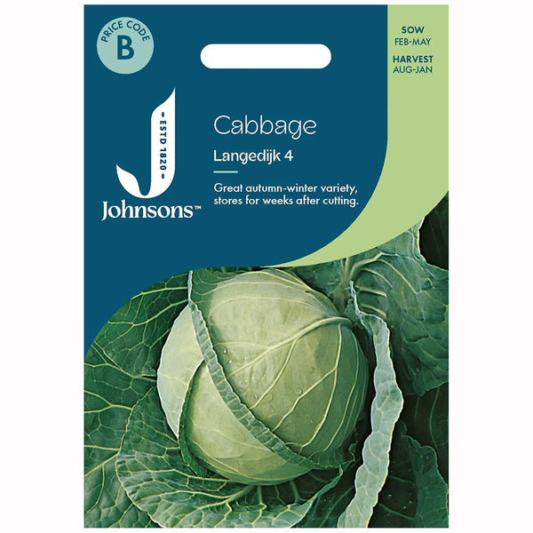Johnsons Cabbage Langedijk 4 Seeds - DeWaldens Garden Centre