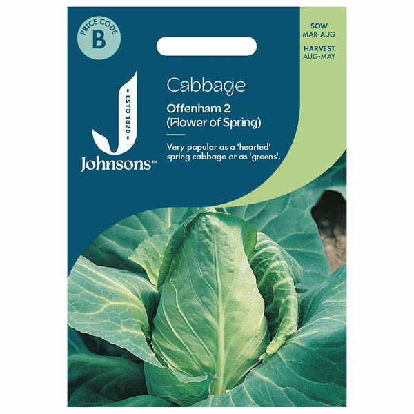 Johnsons Cabbage Offenham 2 (Flower Of Spring) Seeds - DeWaldens Garden Centre