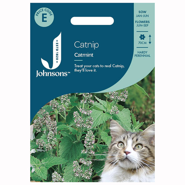 Johnsons Catnip - Catmint Seeds - DeWaldens Garden Centre