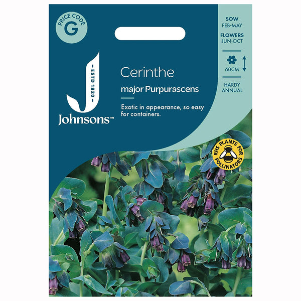 Johnsons Cerinthe Major Purpurascens Seeds - DeWaldens Garden Centre