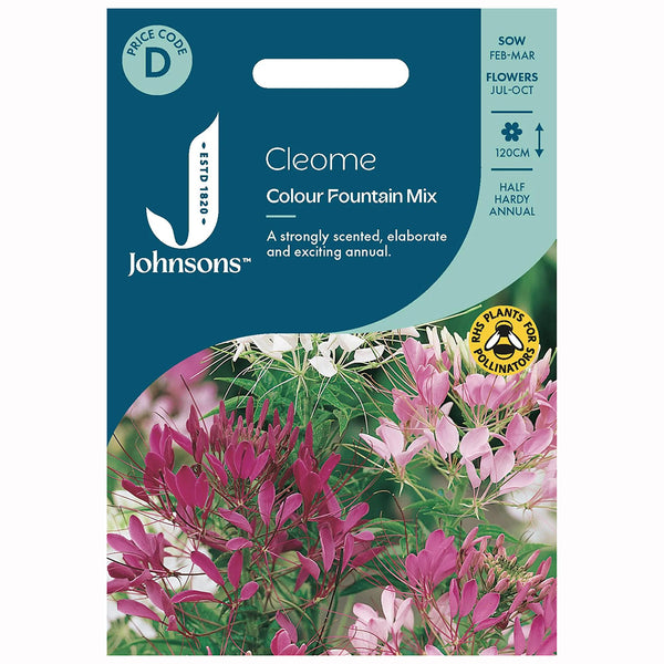 Johnsons Cleome Colour Fountain Mixed Seeds - DeWaldens Garden Centre