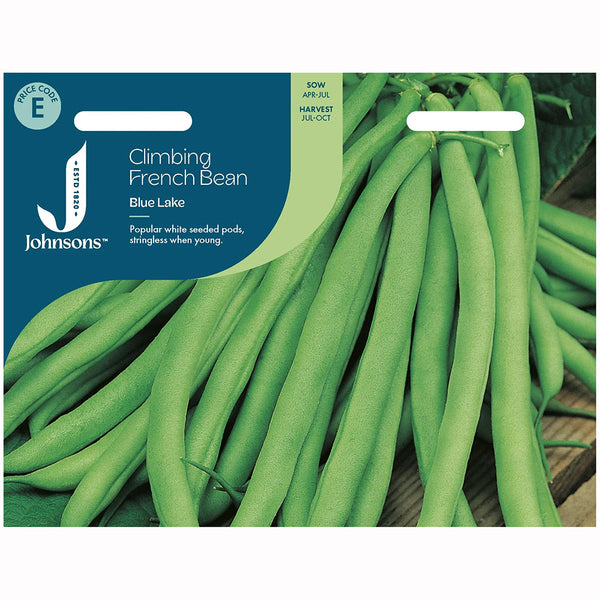 Johnsons Climbing French Bean Blue Lake Seeds - DeWaldens Garden Centre