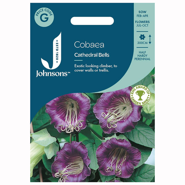 Johnsons Cobaea Cathedral Bells Seeds - DeWaldens Garden Centre