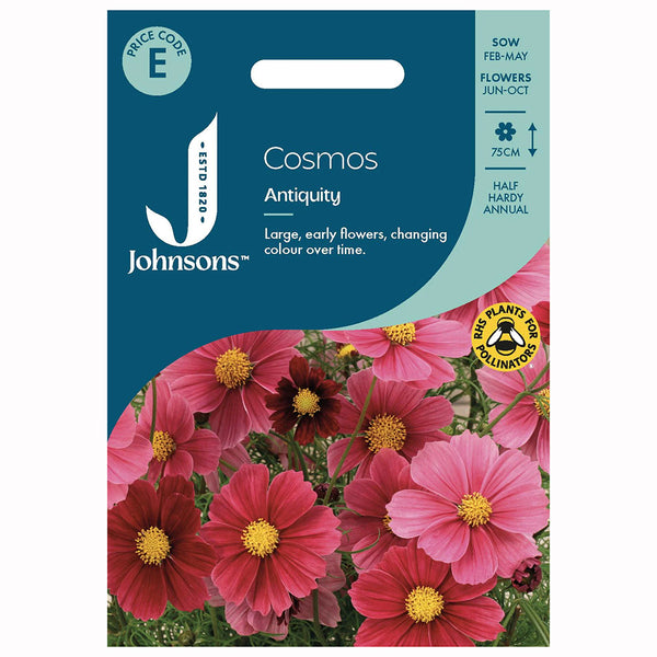 Johnsons Cosmos Antiquity Seeds - DeWaldens Garden Centre