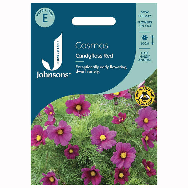 Johnsons Cosmos Candyfloss Red Seeds - DeWaldens Garden Centre