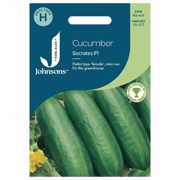 Johnsons Cucumber Socrates F1 Seeds - DeWaldens Garden Centre