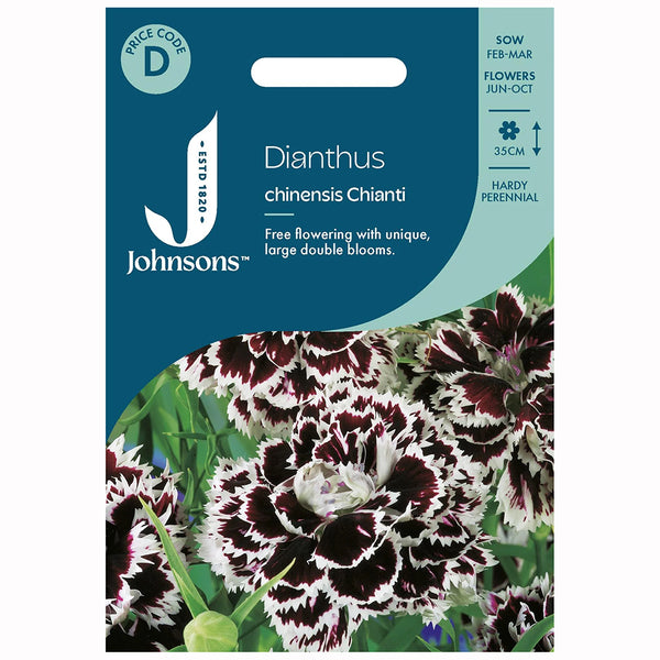 Johnsons Dianthus Chinensis Chianti Seeds - DeWaldens Garden Centre