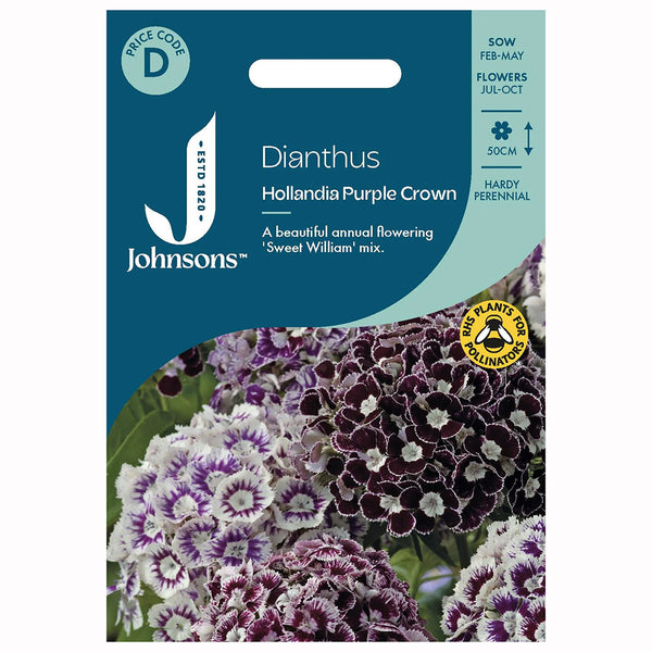 Johnsons Dianthus Hollandia Purple Crown Seeds - DeWaldens Garden Centre