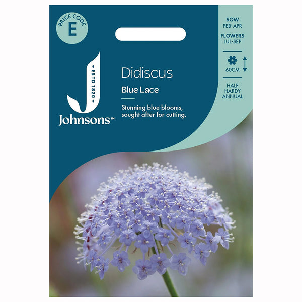 Johnsons Didiscus Blue Lace Seeds - DeWaldens Garden Centre