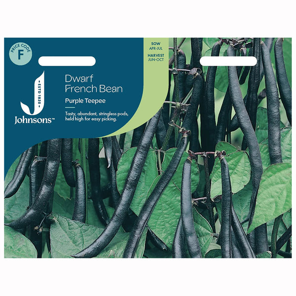 Johnsons Dwarf French Bean Purple Teepee Seeds - DeWaldens Garden Centre