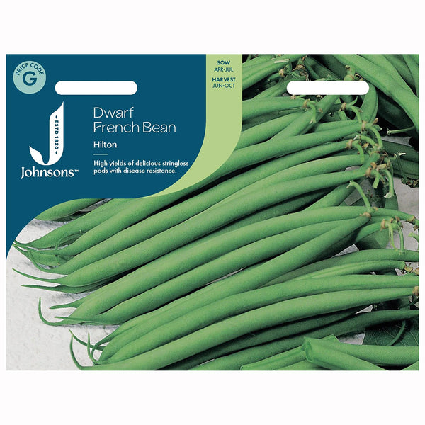 Johnsons Dwarf French Bean Hilton Seeds - DeWaldens Garden Centre