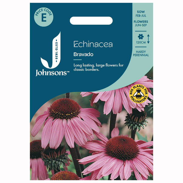 Johnsons Echinacea Bravado Seeds - DeWaldens Garden Centre
