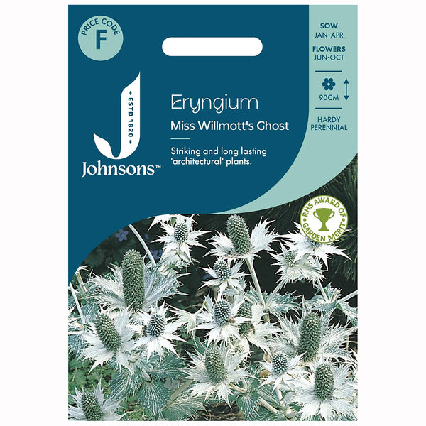 Johnsons Eryngium Miss Willmotts Ghost Seeds - DeWaldens Garden Centre