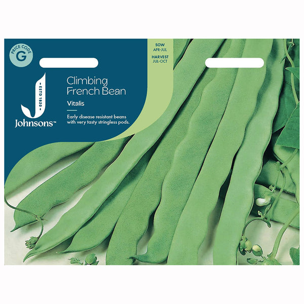 Johnsons Climbing French Bean Vitalis Seeds - DeWaldens Garden Centre