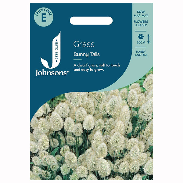 Johnsons Grass Bunny Tails - Lagurus Seeds - DeWaldens Garden Centre