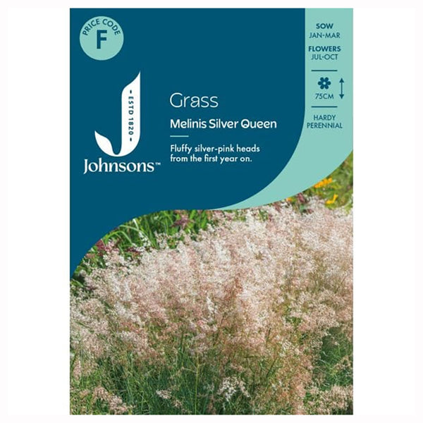 Johnsons Grass Melinis Silver Queen Seeds - DeWaldens Garden Centre