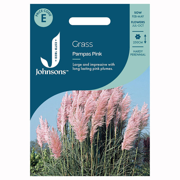 Johnsons Grass Pampas Pink Seeds - DeWaldens Garden Centre