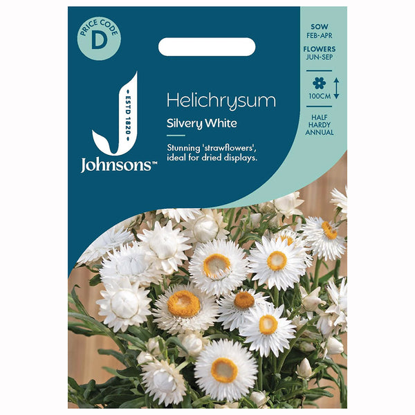 Johnsons Helichrysum Silvery White Seeds - DeWaldens Garden Centre