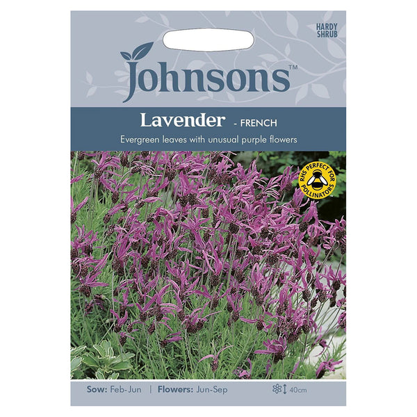 Johnsons Lavender French Seeds - DeWaldens Garden Centre