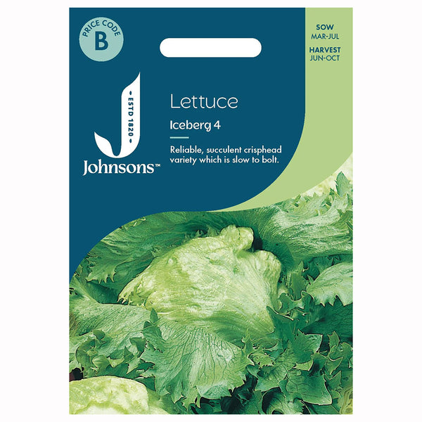 Johnsons Lettuce Iceberg 4 Seeds - DeWaldens Garden Centre