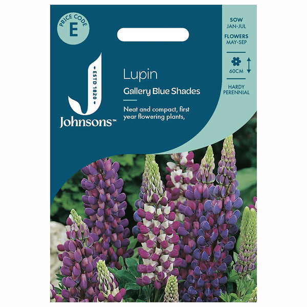 Johnsons Lupin Gallery Blue Shades Seeds - DeWaldens Garden Centre