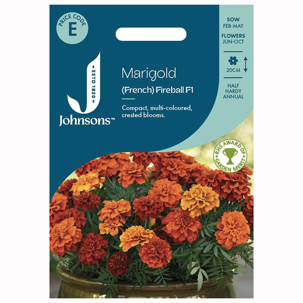 Johnsons Marigold (French) Fireball F1 Seeds - DeWaldens Garden Centre
