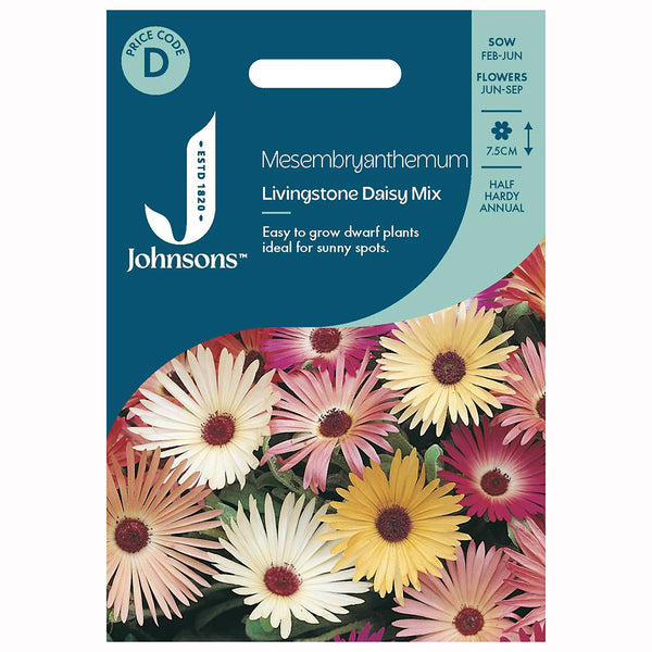 Johnsons Mesembryanthemum Livingstone Daisy Mixed Seeds - DeWaldens Garden Centre