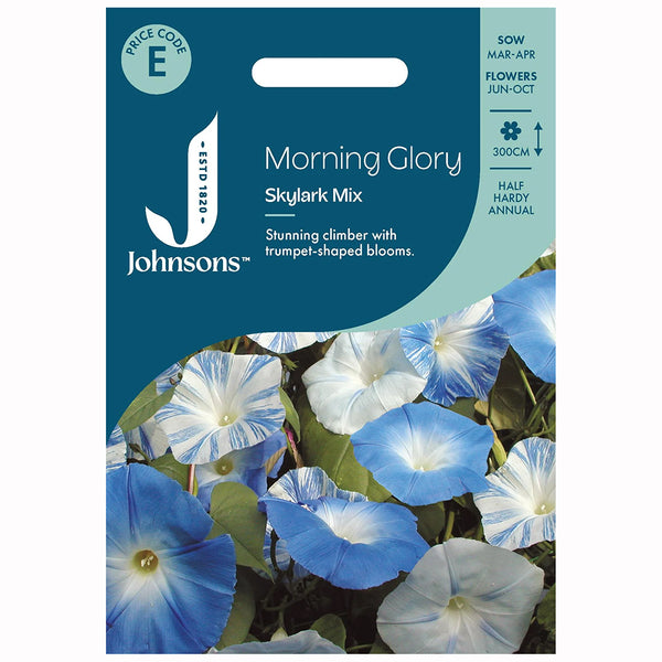 Johnsons Morning Glory Skylark Mixed Seeds - DeWaldens Garden Centre