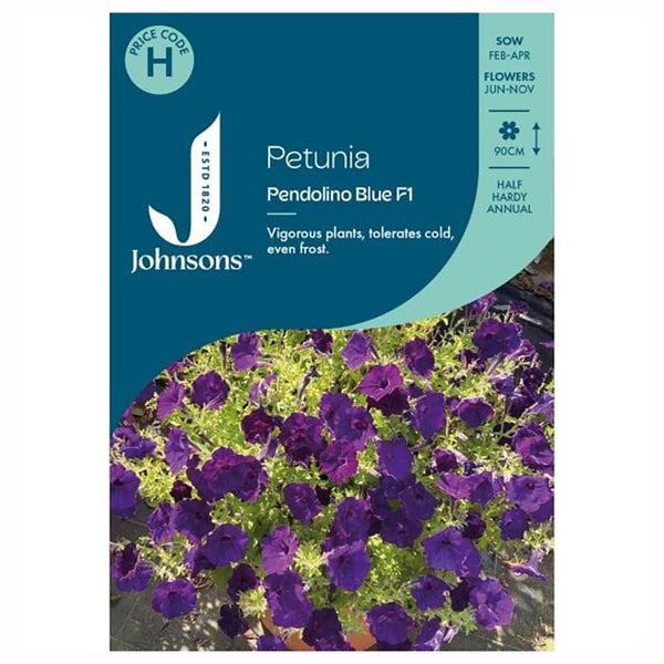 Johnsons Petunia Pendolino Blue F1 Seeds - DeWaldens Garden Centre