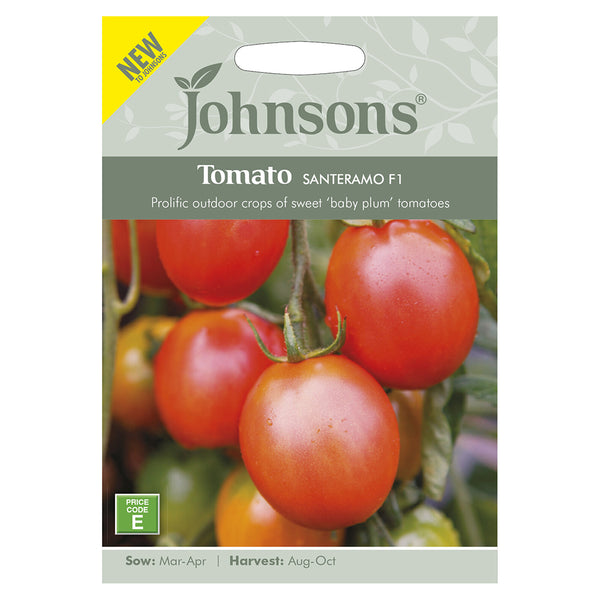 Johnsons Tomato Santeramo F1 Seeds - DeWaldens Garden Centre