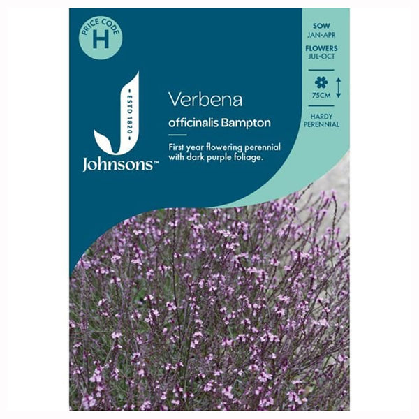 Johnsons Verbena Officinalis Bampton Seeds - DeWaldens Garden Centre