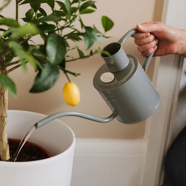 Kent & Stowe Indoor Metal Watering Can 1ltr - DeWaldens Garden Centre