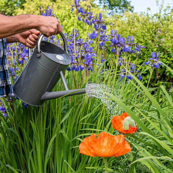 Kent & Stowe Metal Watering Can 4.5ltr - DeWaldens Garden Centre