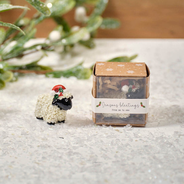 Christmas Tiny World Resin Sheep Keepsake Ornament With Gift Box - DeWaldens Garden Centre