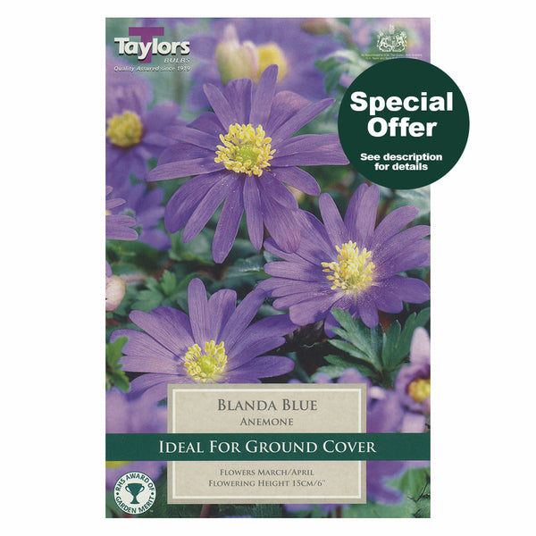 Taylors Bulbs - Anemone Blanda Blue x 20 Bulbs