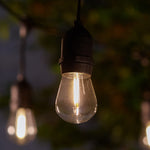 Madison Solar Drop Bulb Lights (Set of 10) - DeWaldens Garden Centre