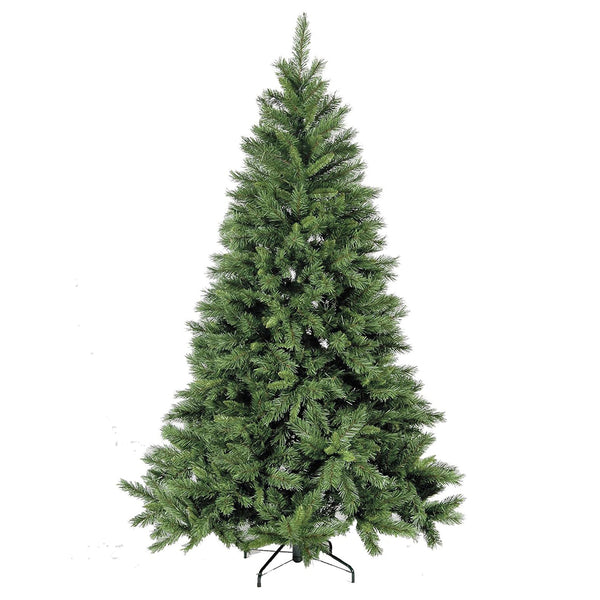 Kateson Fir Christmas Tree - DeWaldens Garden Centre