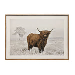 Straits Highland Cow Print - DeWaldens Garden Centre